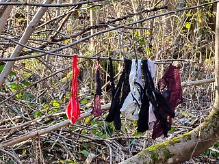 Found a stranger&rsquo;s Thong and String in the woods and covered them in my cum