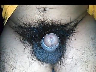 SMALL UNCUT DARK  AND VERY HAIRY PENIS