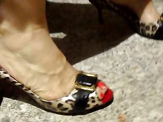my wife&#039;s feet in tigerpumps