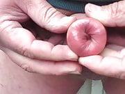 Foreskin inside out