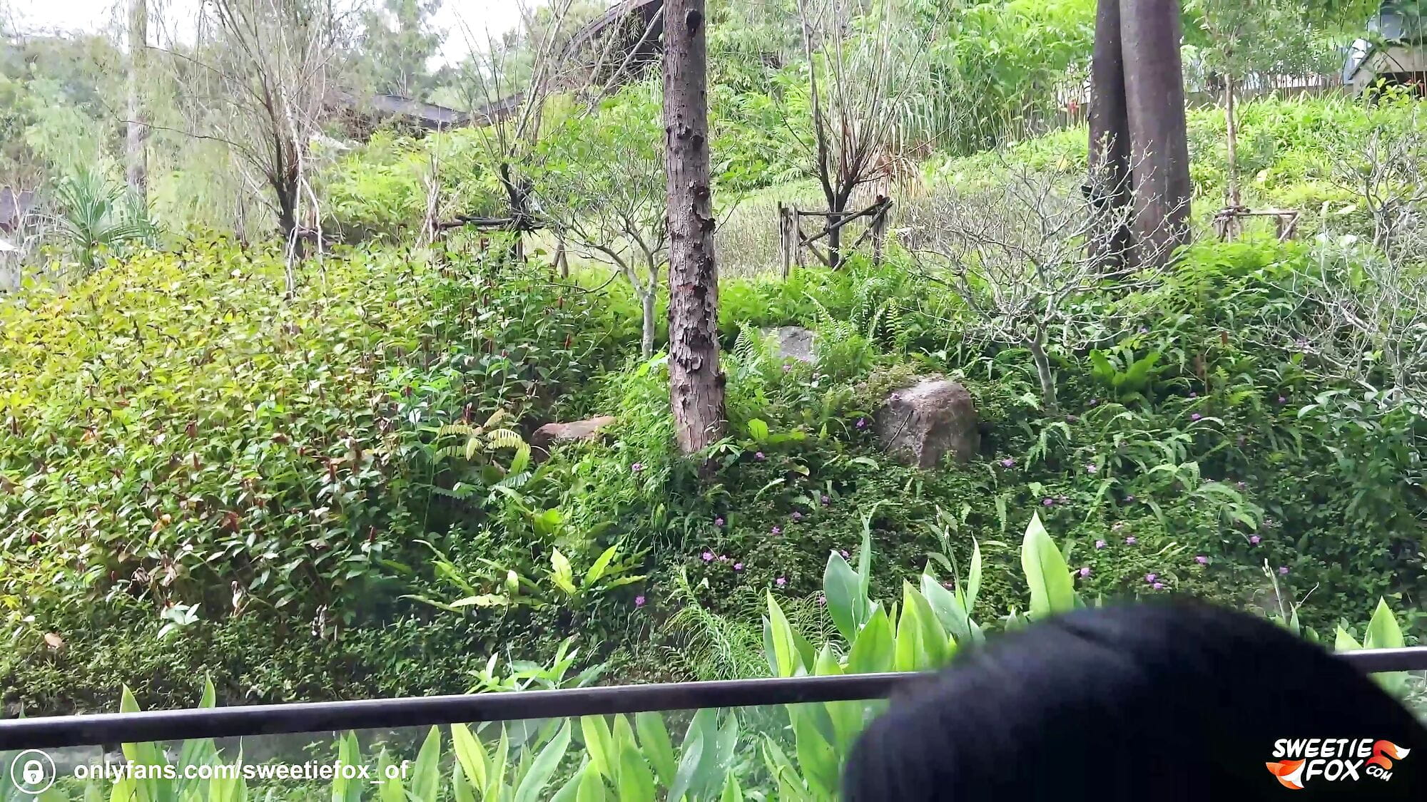 Wild Beauty Public Doggystyle Fucks at the Panoramic Window and Gets Cum in Mouth