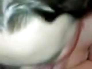 Blowjob, Amateur, Giving Good Head, Homemade Amateur