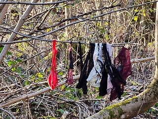 Found a strangers Thong and String in the woods and covered them in my cum