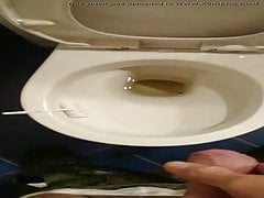 Amateur Pissing in Toilet