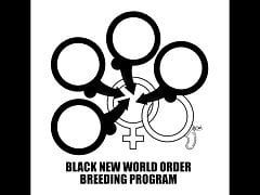 Black New World Order Breeding Program