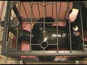 The Rubberpet in the cage