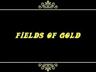Fields Of Gold