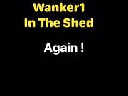 In The Shed intro