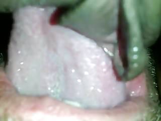 Sweet Pussy, Amateur, Pussy Eat, Eating Pussy