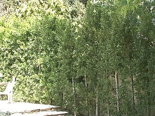 Bruenette bumst und bekommt ihn - Bild 2