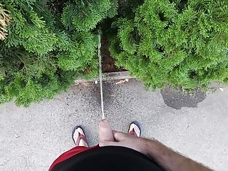 Chilling in park with a new buddy (some jerking, pissing, flashing)