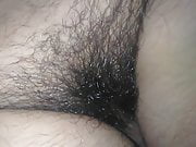 Hairy pussy or dick 
