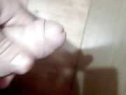 Polla