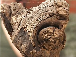 Haus frauen privat (Full Movie)