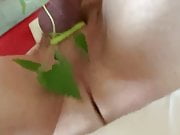 Bearstgt nettle play 