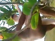 white hubby films wife getting fucked in a tree