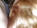 amateur,blowjobs,greek