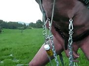  clamps in a hike