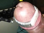 Cockhead tortured hard by electro
