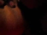 pusa