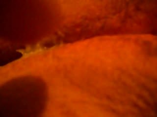 Amateur couple close up penetration