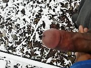 Playing in snow , No Cumshot)