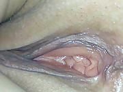 Cipunia 1