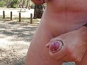 Stroking cock in forest reserve 