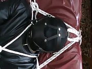 Muzzle and straitjacket - 1