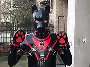 rubber pup fun 01