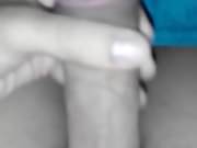 Pollon