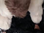 Stuffed into the kitties and sexy hug