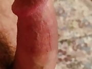 Sean's Throbbing Cock